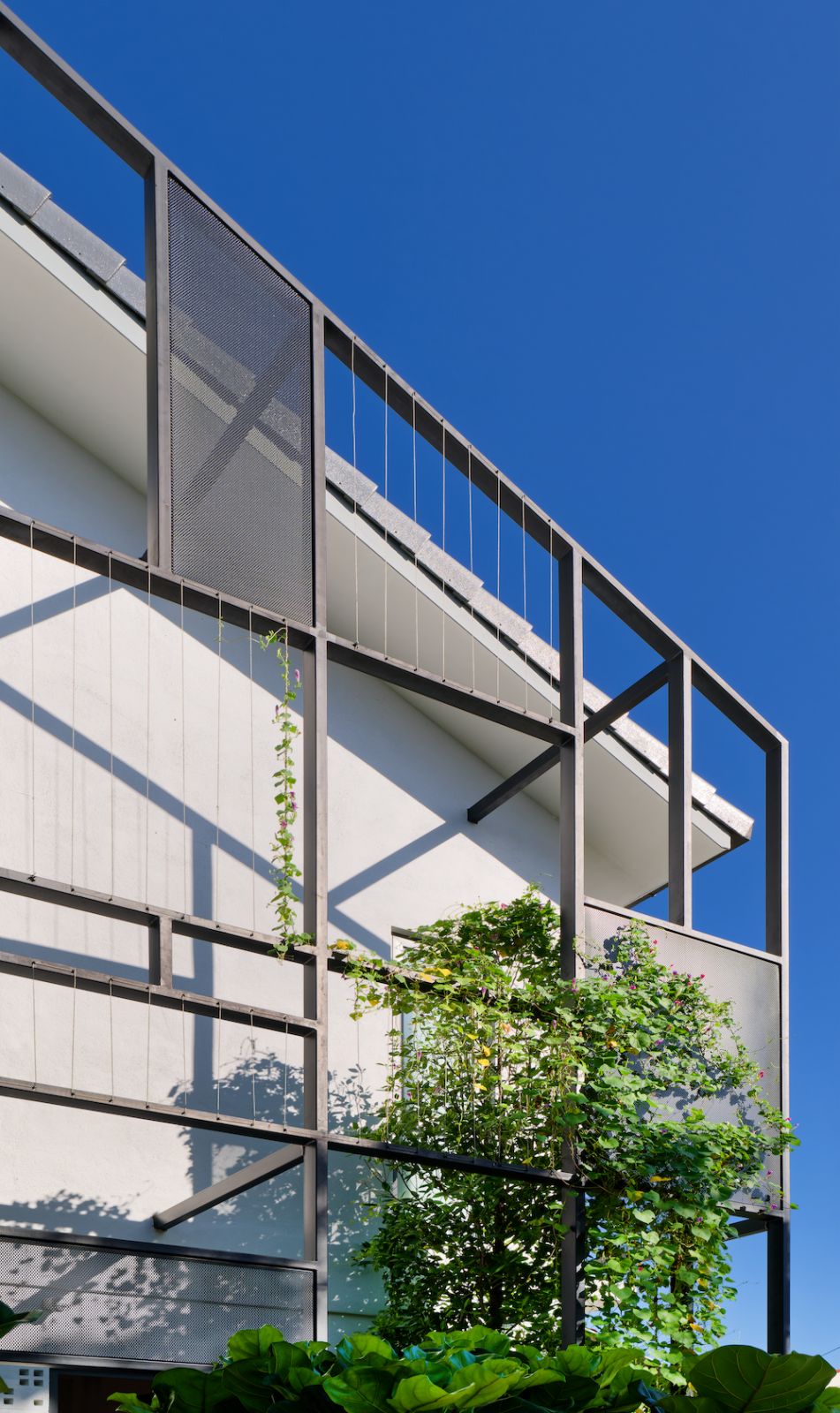 Metal gridwork for plants to grow into