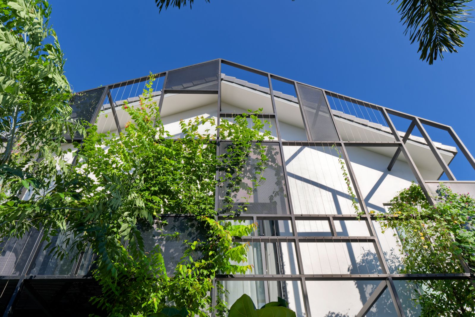 The biophilic facade