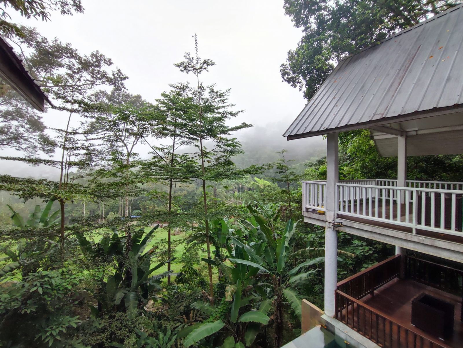 Photo: Berembun Rainforest Lodge