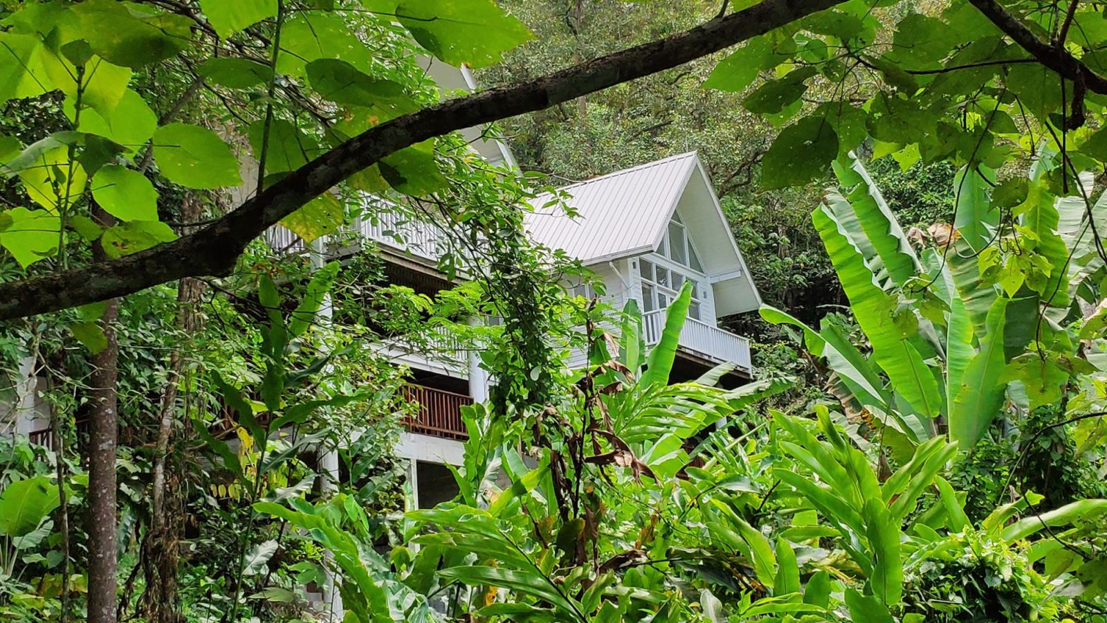 Photo: Berembun Rainforest Lodge