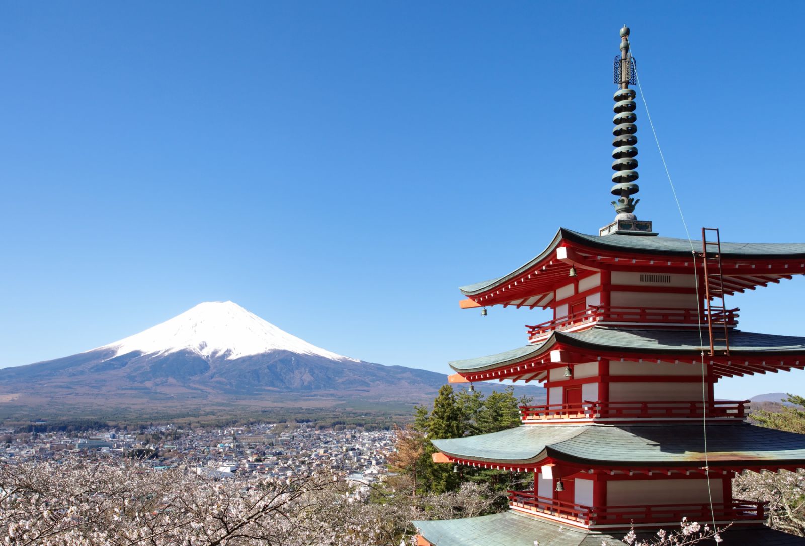 Mountain Fuji in spring ,Cherry blossom Sakura