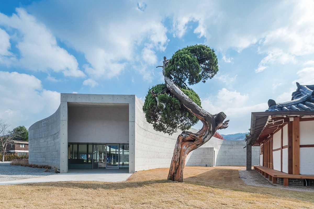 The entrance to Ayu Space is located next to a restored ‘70s hanok, mediated by a sculptural tree (Photo: Sergio Pirrone)