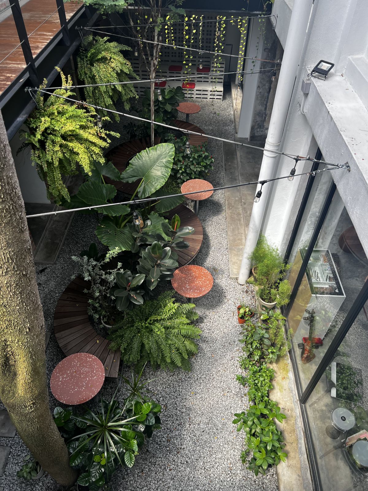 A peek at HSS Pocket Park from the floor above