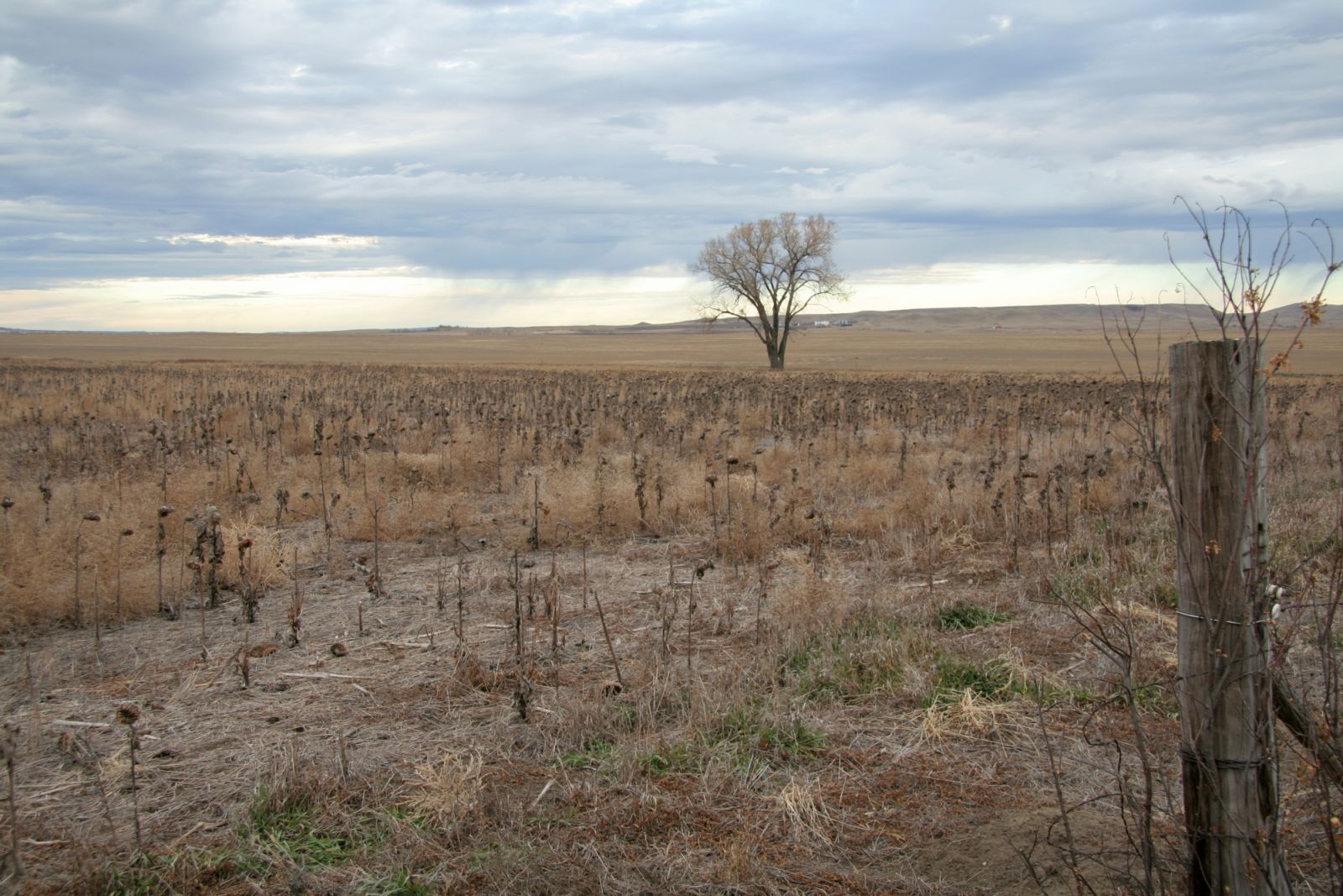 Droughts impact crops which can lead to malnutrition (Photo: Getty Images)