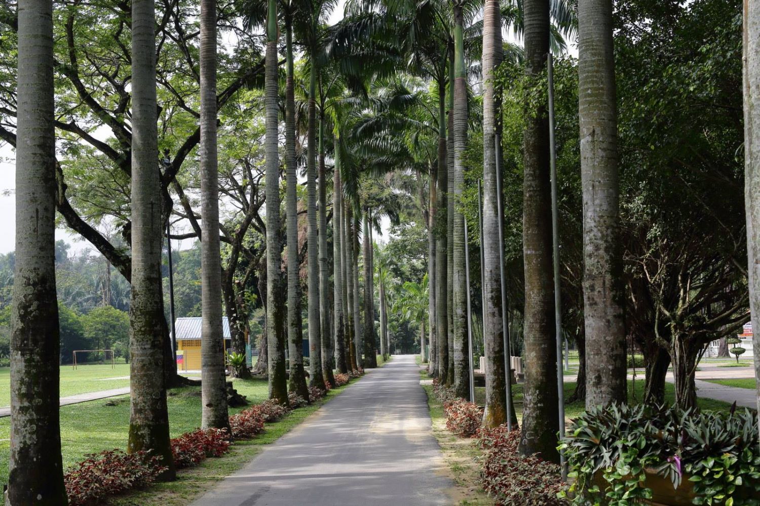 Taman Rimba Kiara park in Taman Tun Dr Ismail (Photo: Selamatkan Taman Rimba Kiara/Facebook)